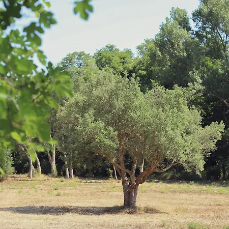 Villa Ortu Di Bala